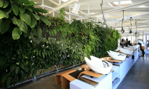 Vertical garden