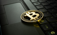 Bitcoin - Unraveling the digital gold rush